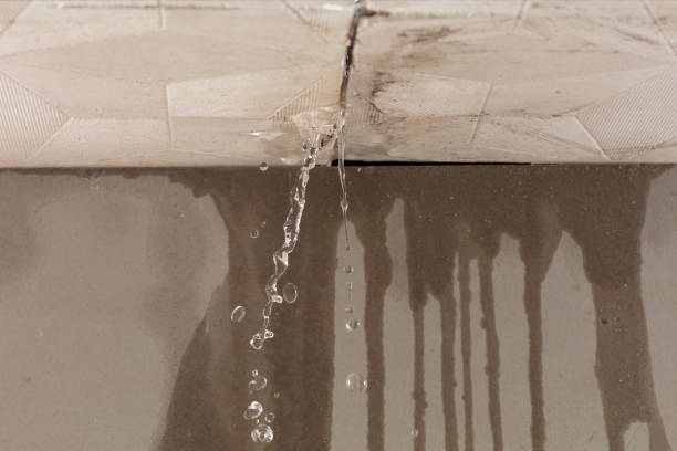 Professional Flood Damage Cleanup technician working in Mesick, MI